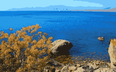 深度解析：西安铁一中究竟是什么神仙学校？